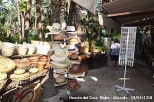 19 ELCHE HUERTO DEL CURA (17)